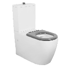 Ceramic Accessible Toilet Suite