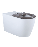 Ceramic Accessible Toilet Pan